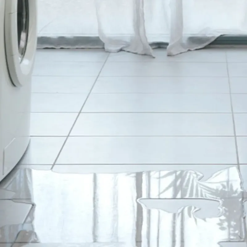 Appliance Leak Cleanup in Saint Ignace, MI