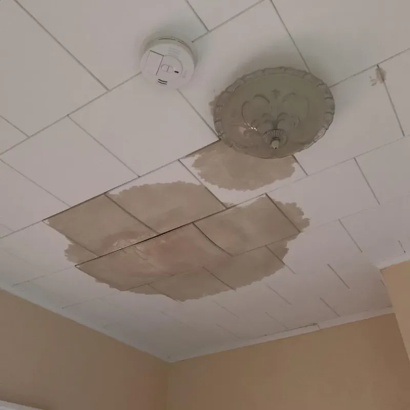 Ceiling Water Damage Repair in Saint Ignace, MI