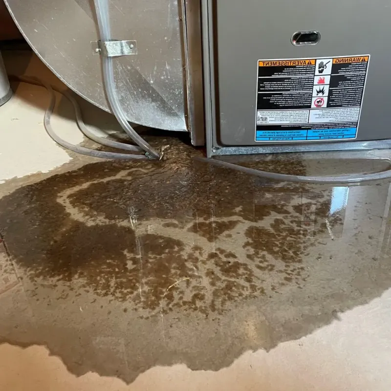 Pipe Burst and Leak Restoration in Saint Ignace, MI