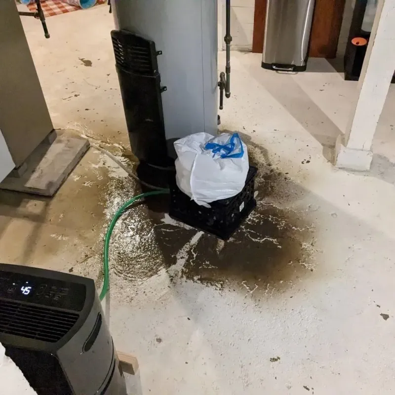 Sewage Backup Cleanup Service in Saint Ignace, MI